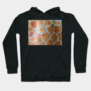 Giraffe Pattern Hoodie